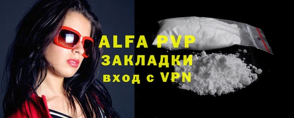 стафф Осинники
